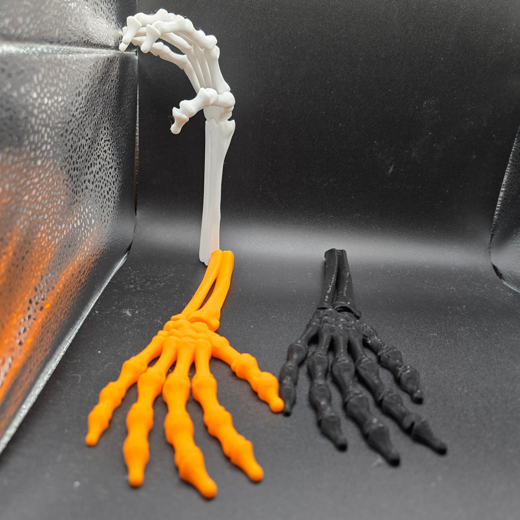 main squelette articulé