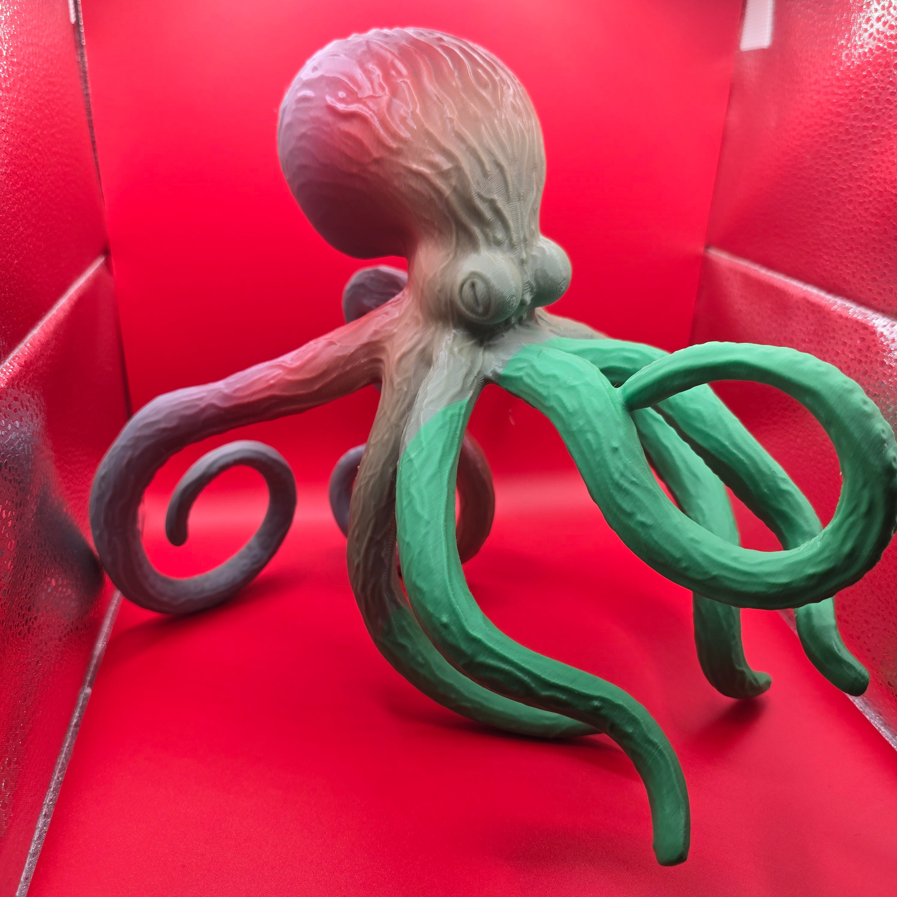 porte bouteille poulpe