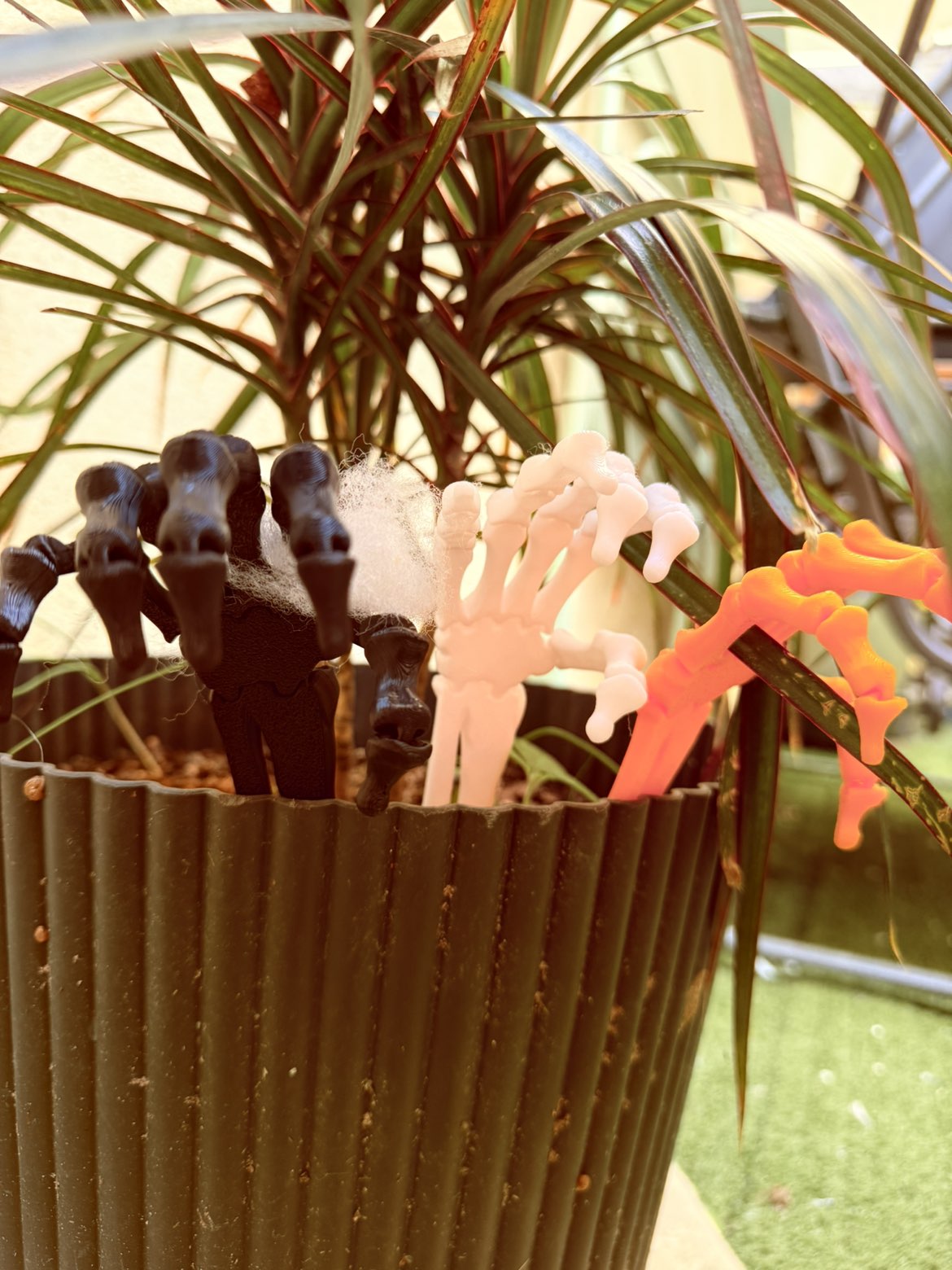 main squelette articulé