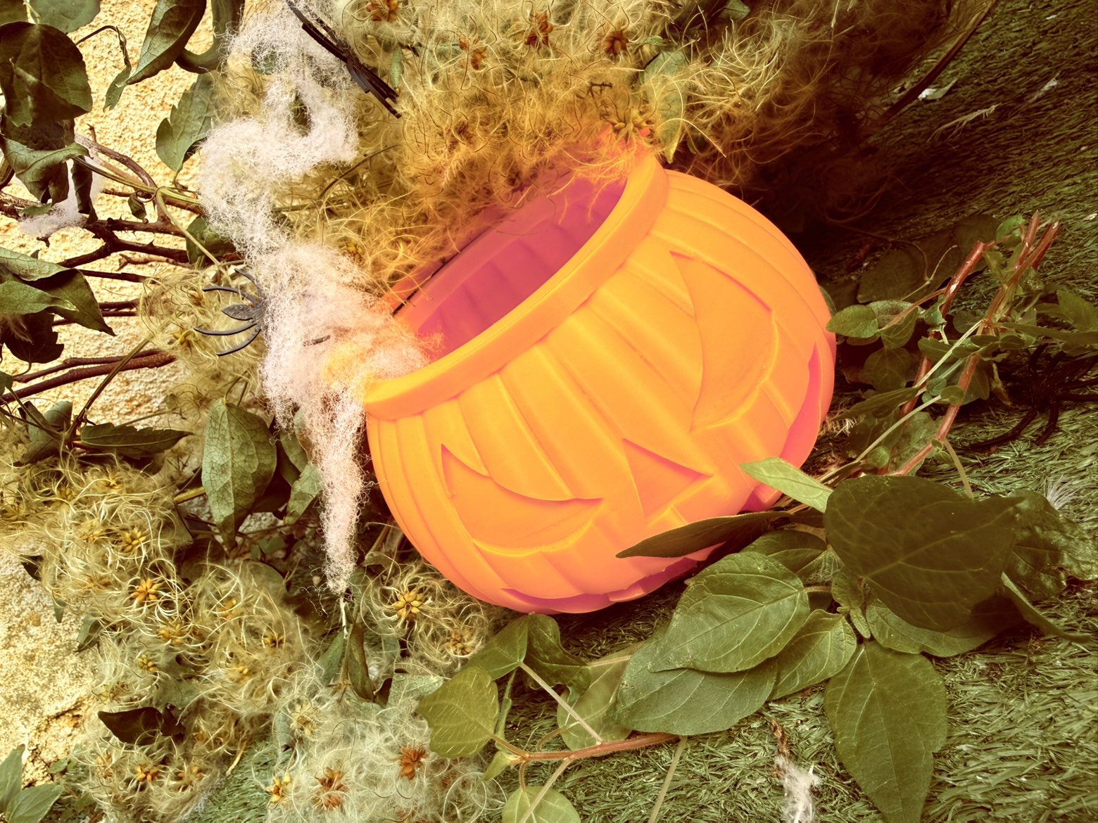 bonbonnière citrouille