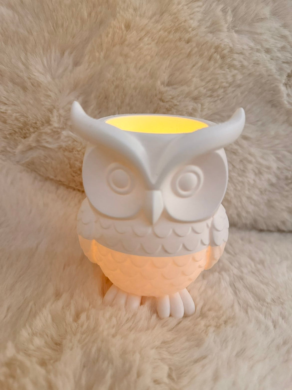pot a crayon ou photophore chouette
