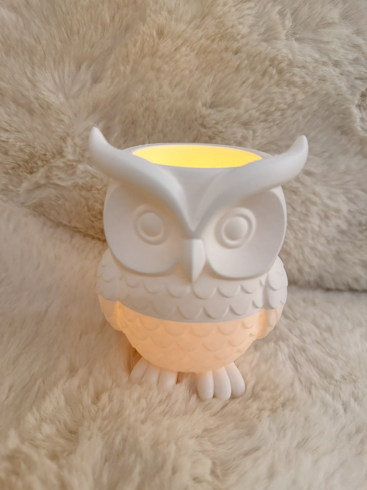 pot a crayon ou photophore chouette