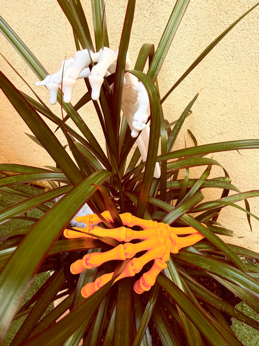 main squelette articulé