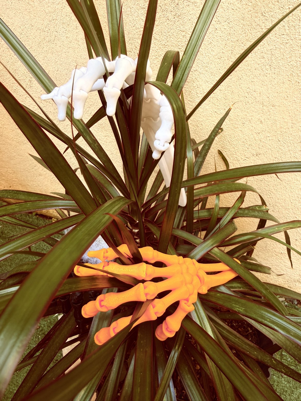 main squelette articulé